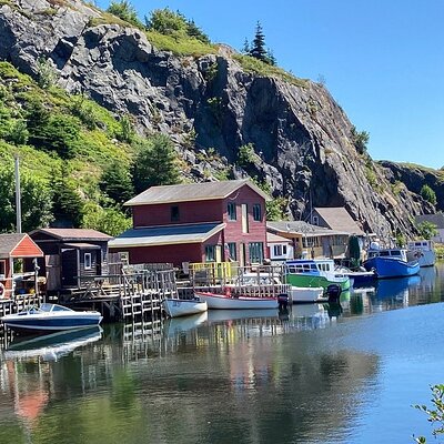 Explore St. John's Scenic Bus Tour to Cape Spear and Quidi Vidi