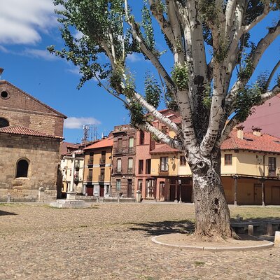 Leon : guided tour POR a Lioness art historian