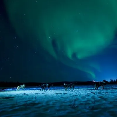 Aurora Borealis Dogsled Tour