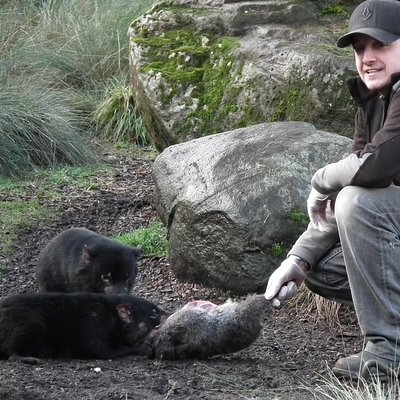 After Dark Tasmanian Devil Feeding Tour at Cradle Mountain