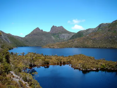Tasmanian Devil After Dark Feeding Tour at Cradle Mountain