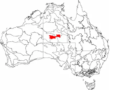 Early Morning Hot Air Ballooning in Alice Springs Outback with Refreshments