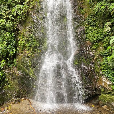 Hiking through the Cocora Valley Waterfalls