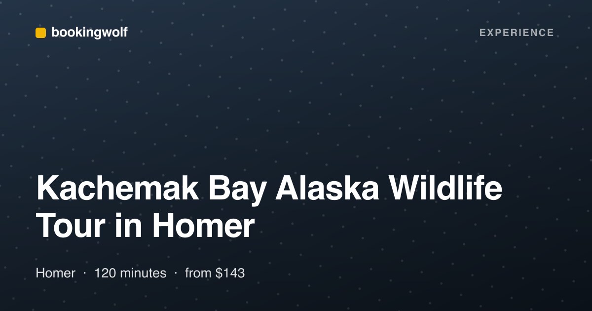 Kachemak Bay Alaska Wildlife Tour in Homer