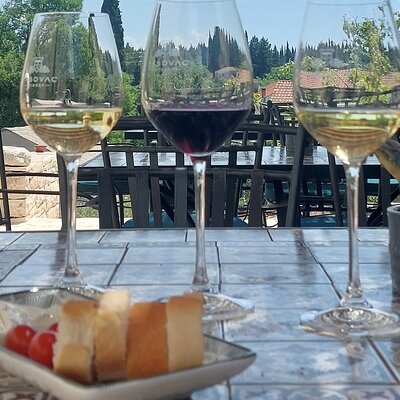 Korčula for Wine Lovers - Pošip and Grk Wines Private Tour