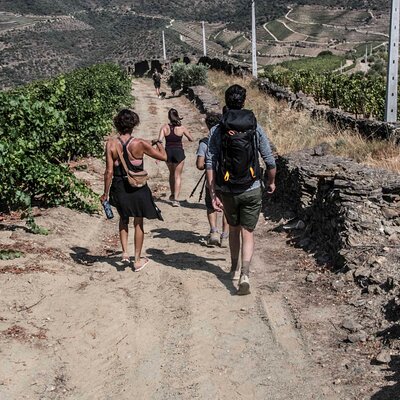 Pinhão Easy Level Walk & Wine Tasting