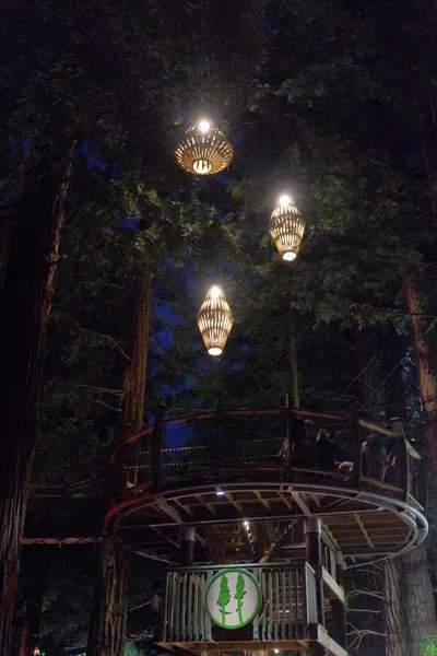 Rotorua Redwoods Altitude High Ropes 2-Hour Adventure with Glowworms Entry