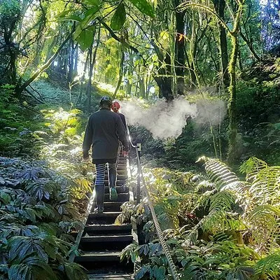 Down to Earth - Waitomo Eco Cave Tours