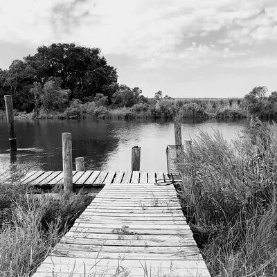 Historical Haunted Bayou Cruise