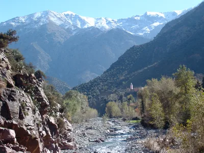 Ourika Valley and Atlas Mountains Shared Day Trip from Marrakech