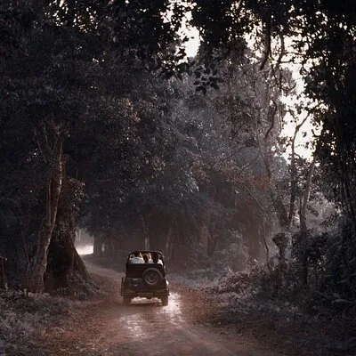 ranthambore safari consultants