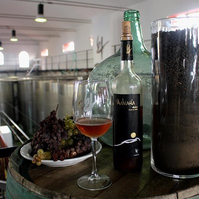 Visit Bodegas Teneguía winery in La Palma with wine Tasting