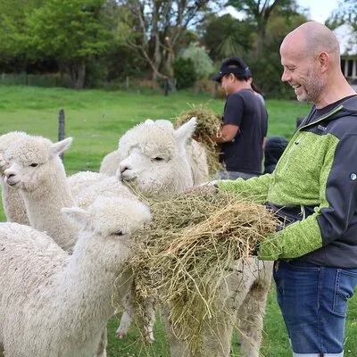 Christchurch Alpaca Farm Tour From Kaiapoi