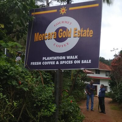 Mercara Gold Coorg Coffee and Spice Estate Tour
