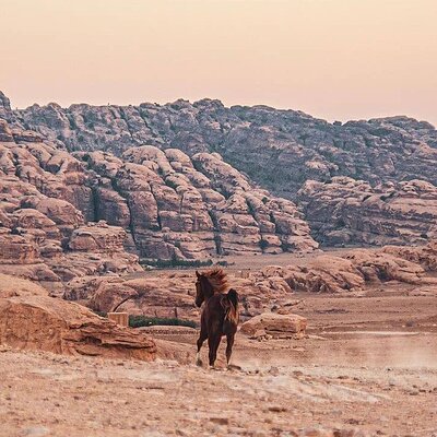 Jordan Inspiration Tours