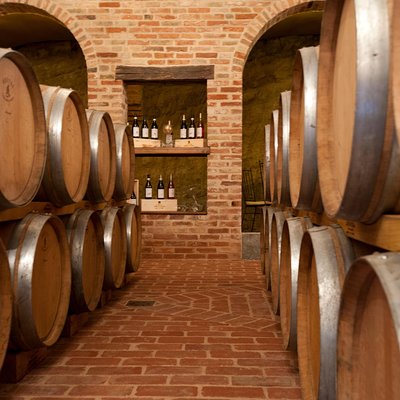 Barolo & CO: visit and tasting