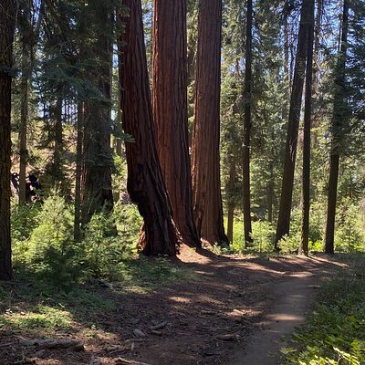 Authentic Adventures Central California