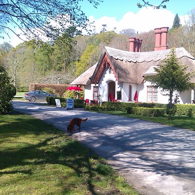 Killarney Guided Walks