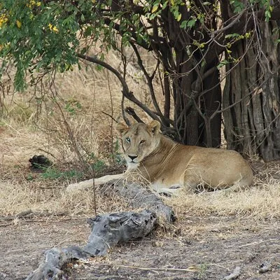 Sweet Apple Tours and Safaris
