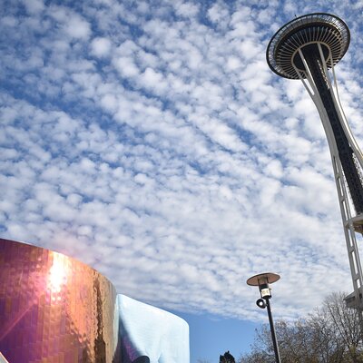 Intrepid Urban Adventures - USA