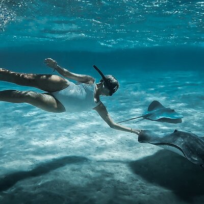 Moorea: Private Snorkeling Tour with Certify Guide