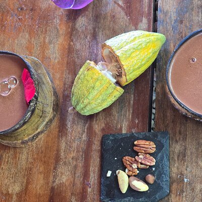 Private Chocolate and Pisco Sour Lesson