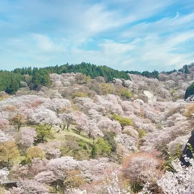 Yoshino Visitors Bureau