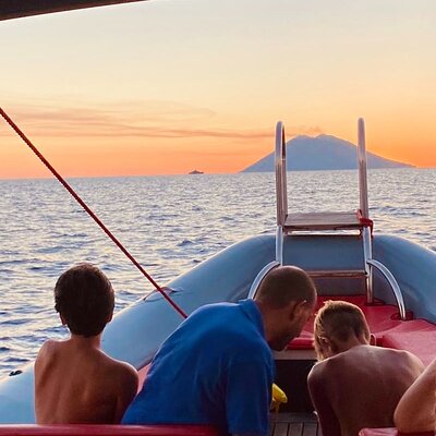 Sea Life Tropea