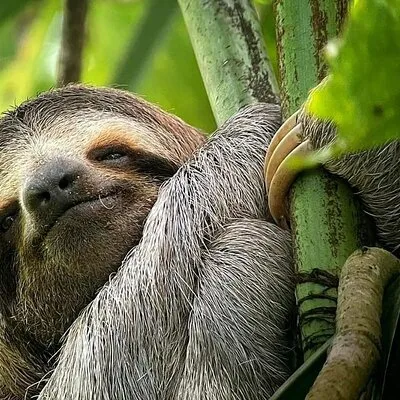 Manuel Antonio National Park Tour for 8 People