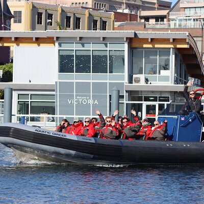 Private Zodiac Whale Watching Tour from Victoria