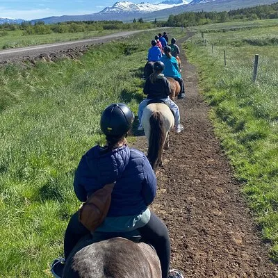 Horse Riding Tour and Explore Scenery in Gásir Akureyri