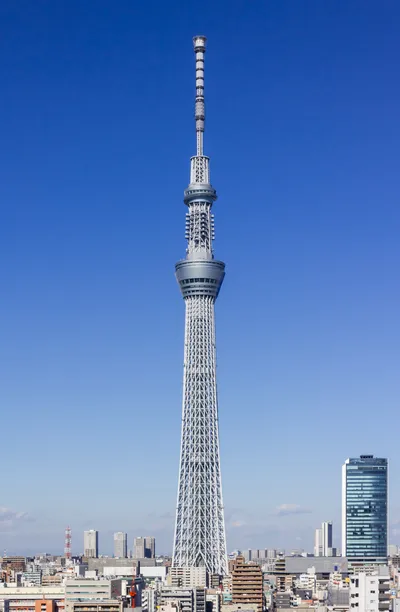 Private and Customisable 9-Hour Tokyo Tour with English Driver-Guide