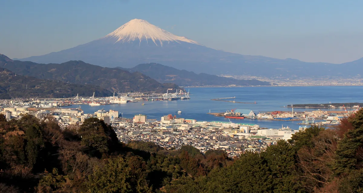 Full Day Mount Fuji Tour with Guide in Spanish