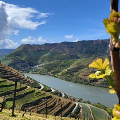 Douro Essense - Private Tours