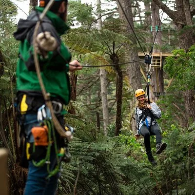 Coromandel Zipline Tours