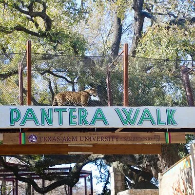 San Antonio Zoo