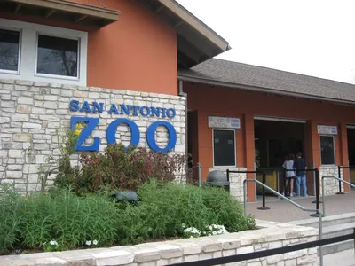 San Antonio Zoo General Admission Ticket with Access to Congo Falls Habitat