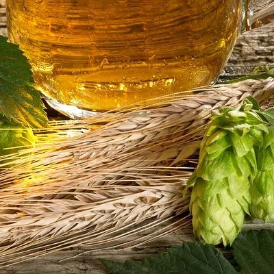 Crush Beer & Wine Tours