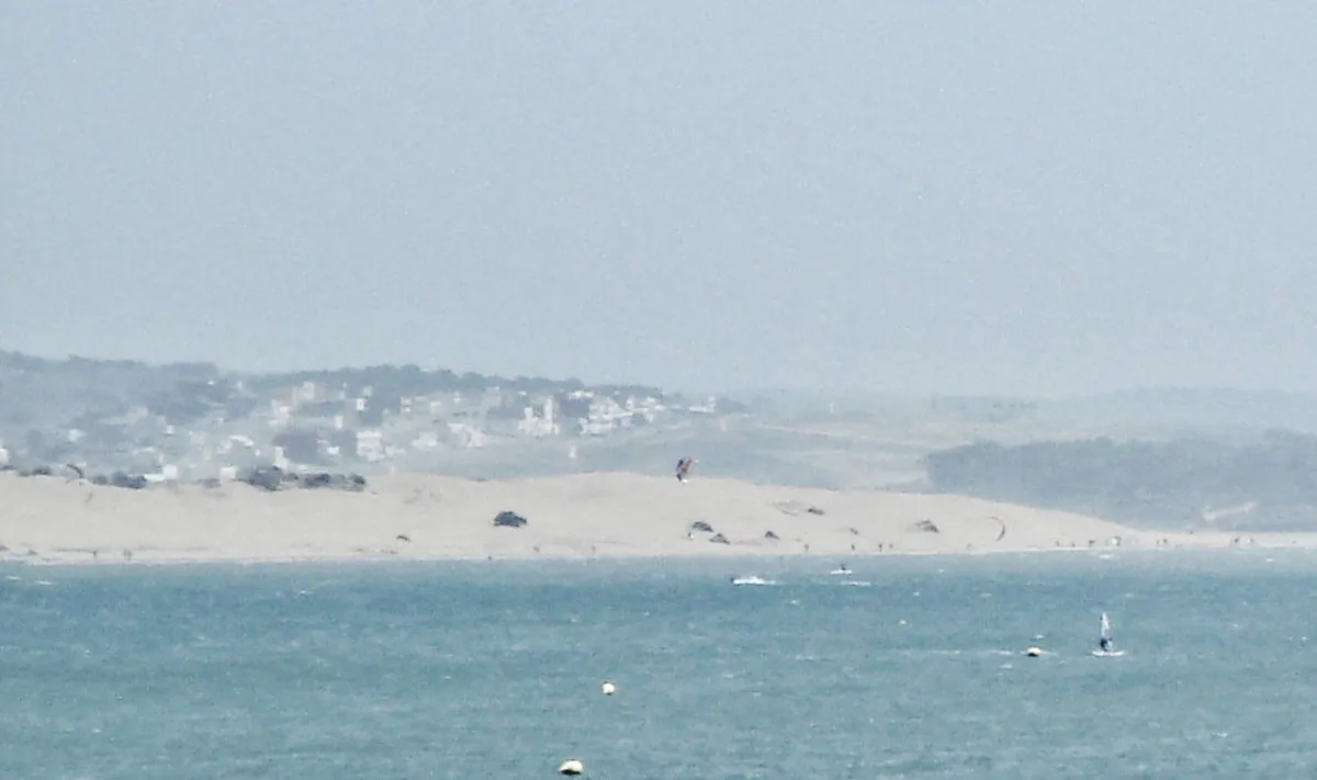 Essaouira 2-Hours Quad Ride on Forest and Dunes from Essaouira