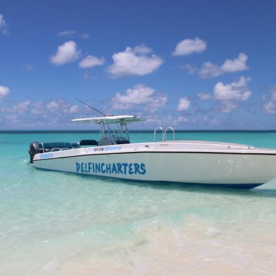 Delfincharters