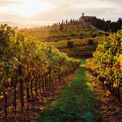 Winery Tour and tasting