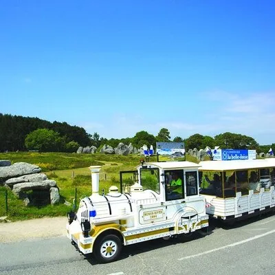 Guided tour of the Megalithic Site of Carnac
