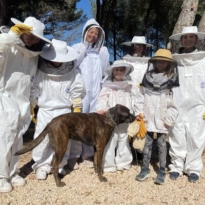 Immersion in the Life of a Hive and its Sacred Bees
