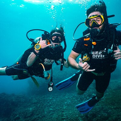 Blue View Divers