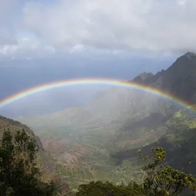 Noah's Ark Kauai Tours