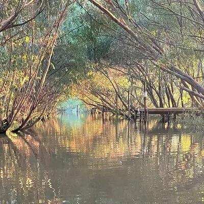 Customized Tigre Delta Tour lunch and drink included