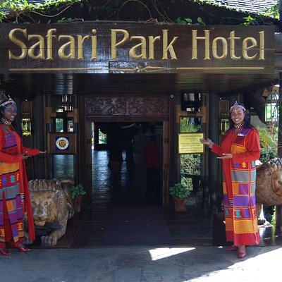 Safari Park Dinner with Safari Cats Dance Show