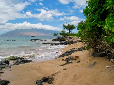 Water Bike Tour in South Maui from Makena Bay
