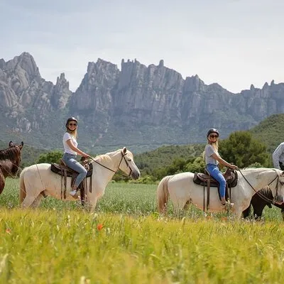 Xperience by Horse