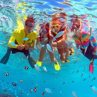 Eco Snokeling in Piti Bay Marine